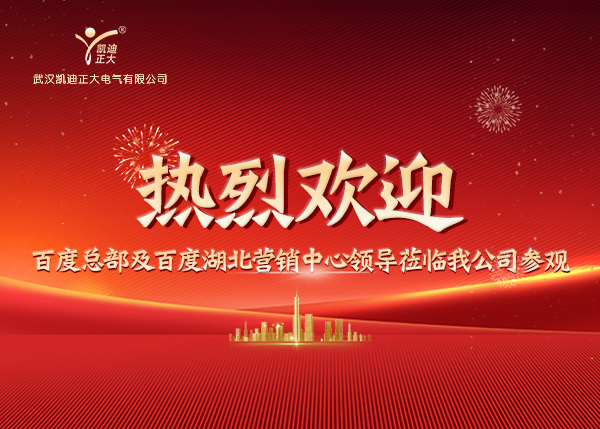 百度總部及湖北營銷中心領導蒞臨我司，共繪合作新藍圖