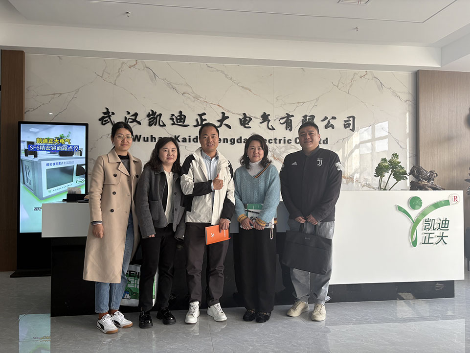 熱烈歡迎東西湖區商務局領導和金銀湖街道工作人員走訪我司